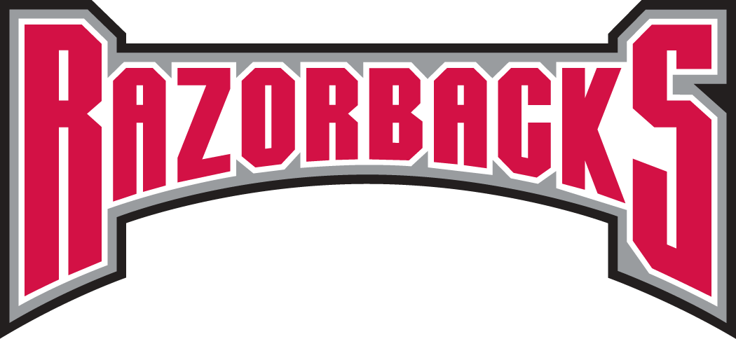 Arkansas Razorbacks 2001-2008 Wordmark Logo v7 diy DTF decal sticker